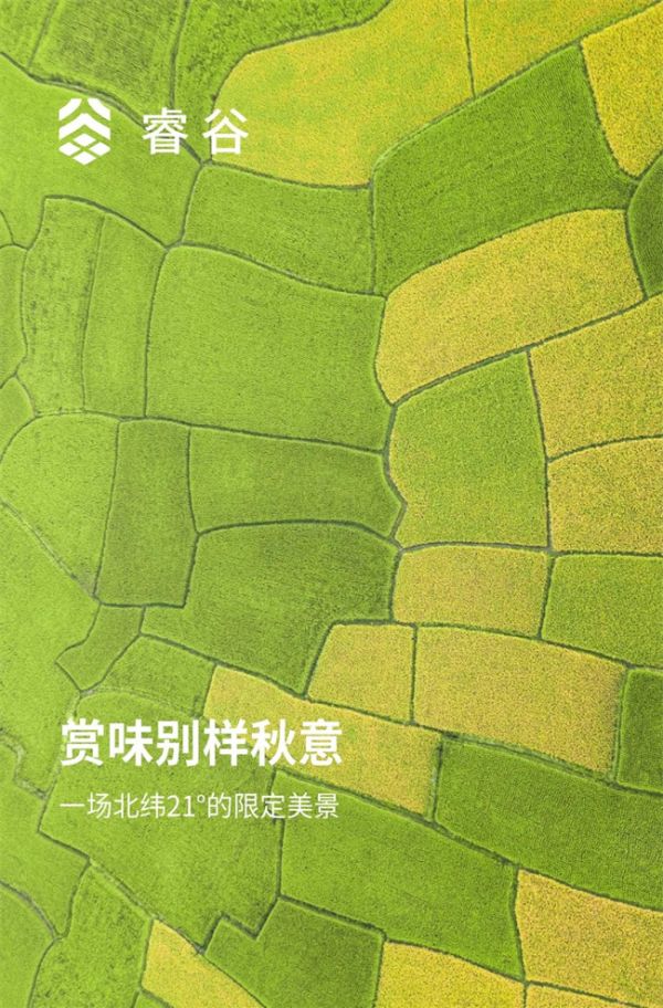 睿谷生态｜初秋巡游，在北纬21°中寻味限定美景