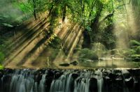 睿谷生态｜初秋巡游，在北纬21°中寻味限定美景