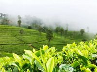 睿谷生态｜初秋巡游，在北纬21°中寻味限定美景