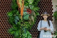 以智识与创造力播下一颗种子 第一届Generation Green理想家绿世代高峰论坛回顾