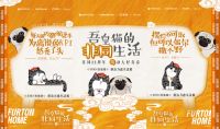 浪眼观察丨联名吾皇猫，非同22周年营销是一套反内卷样本