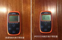 伊莎贝尔“这20年” ——专心专注做好一件事