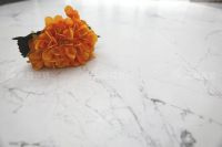 品质再升级 | 能强中板双零低吸超耐磨，性价比优势更凸显！