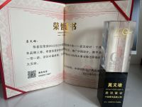 武汉设计师莫文雄荣耀亮相第6届中国国际设计周，荣获十佳青年品牌人物奖项