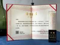 武汉设计师汤鹏荣获第6届中国国际设计周十佳青年品牌人物奖项