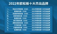 伟业ENF欧松板入选2022年欧松板十大杰出品牌
