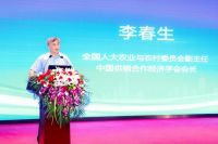 鸿旗文化传媒创始人陈鹏出席第四届健康中国与食品安全高峰论坛