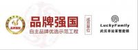 为什么我们不建议自行安装智能锁