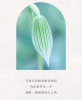 【领绣·菁华】都市吟游轻盈的现代风格，如云一般自由