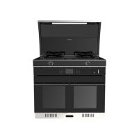 集成灶十大品牌之德意集成灶双炉蒸烤，同屏创造美味