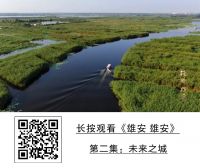 厉害了，雄安 雄安！国庆期间霸屏央视！
