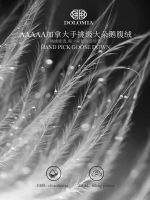 不将就的人生，从第一件DOLOMIA高奢床品开始