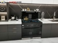 大国品牌帅丰电器天猫、京东双十一成绩亮眼，多维布局全面领跑行业