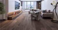 卢森地板 探究现代风格空间的流行内核
