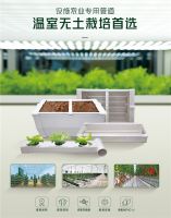 新品塑递丨水培种植好帮手！联塑设施农业水培管系列上新啦~