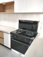 双11选购集成灶别再盲目跟风！这次被集成灶十大品牌帅丰暖到了