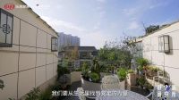 舒适研究所第五期：探寻烟火成都中的“幸福感”
