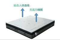 2022城外诚金牌店长强力家具杨过｜以人为本，奉献精品