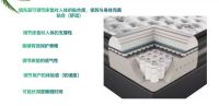 2022城外诚金牌店长强力家具杨过｜以人为本，奉献精品