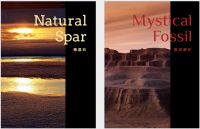 Artily亚缇丽荣膺「2022 设计师严选品牌TOP 10」