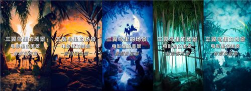 200万博主拍摄10w+大片，主角不是演员是三翼鸟