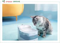 petgugu 总冠名的CFF冠军名猫争霸赛，邀您周末一起过圣诞！