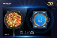 集成灶十大品牌：火王智能灶，智改未来