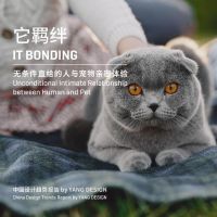 《家电设计趋势报告》对话黄晓靖：家居行业间，边界感逐步减淡