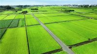 看联塑管道如何助推乡村振兴，加快农业农村现代化建设