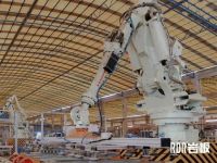 火力全开｜2023年利家居瓷砖生产基地顺利点火开窑