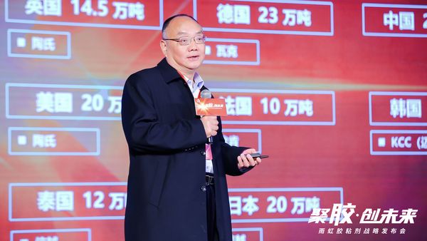 中国氟硅有机材料工业协会副理事长、湖北兴发集团有限公司首席科学家王跃林