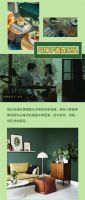 三湘南湖大市场—暖暖春日 打造像乌梅子酱感觉的家