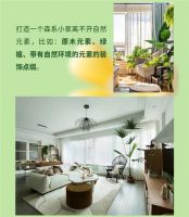 三湘南湖大市场—暖暖春日 打造像乌梅子酱感觉的家