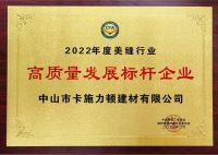 2022年度美缝行业协会年会,砖丽美缝荣获美缝行业优秀品牌称号！