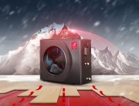 热立方二十周年全球盛典，五大精彩亮点助力品牌驶入快车道！