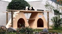 绿色关爱和谐共融，全友喜获“大熊猫文化奖”