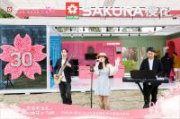 在樱花里邂逅一场音乐与厨房的浪漫之旅，SAKURA樱花2023快闪巡游全国开启