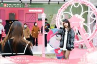 在樱花里邂逅一场音乐与厨房的浪漫之旅，SAKURA樱花2023快闪巡游全国开启
