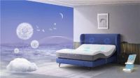 舒福德智能床世界睡眠日发起《全民睡眠健康促进行动》