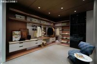 艾依格携行业首创除醛专用板高调亮相广州定制展