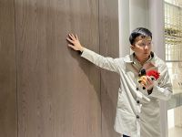 潮这儿看｜百得胜在水漆团标的滋养下，像苔一样生长