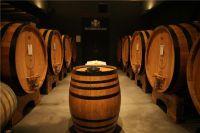 从地下酒窖到客厅酒窖 意大利酒庄用上海尔酒柜