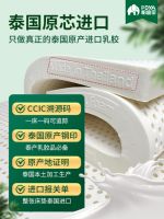 帕迪亚泰国进口乳胶床垫质量真实反馈 90天试睡报告