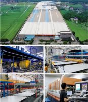 无野心不创业，要创业选金科