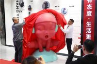 无野心不创业，要创业选金科