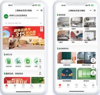 中国涂料头部品牌三棵树的“数字进化”之旅
