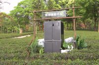 江西海尔冰箱冷柜第二届品茶节——九江·庐山云雾，立于博观处，品春日好茶