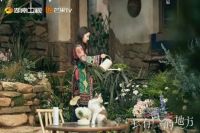 突破性新品类上市！这个佛山砖品牌掌握了爆款密码