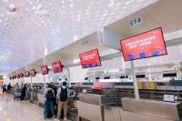 大道恒美×深圳航空 | 以品牌叙事，助力深圳城市文化形象出圈海外！