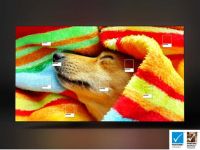 三星OLED电视重磅开售 薄“采”众长丰富家庭娱乐体验